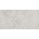 G313 Light Grey 30x60
