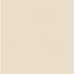 Polirani IVORY 60x60 granit