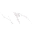 LENOX White sjaj 30x90