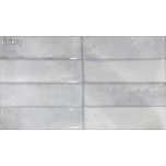 LIFE Blanco 30x60