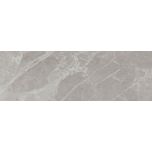 RENOIR Gris 20x60