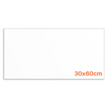 30x60 ICEBERG White Mat K