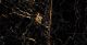 120x60 polirani granit GOLDEN Black  N
