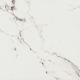 MARBLE Statuario mat 60x60