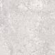 100x100 PANTHEON Griseo Crosscut Lappato