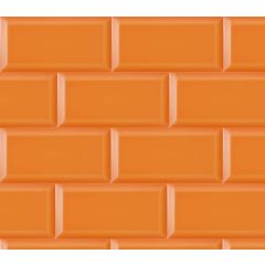 BISELADO Naranja 10x20