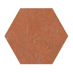 HEX Terracotta Red 20x24