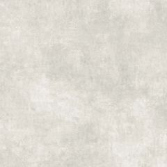 ALPHA Ceniza 60,8x60,8
