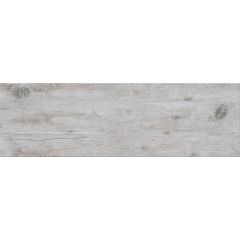 G1804 Light Grey 19x60