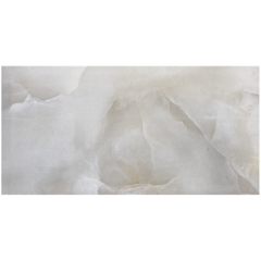 ONYX Silver 25x50